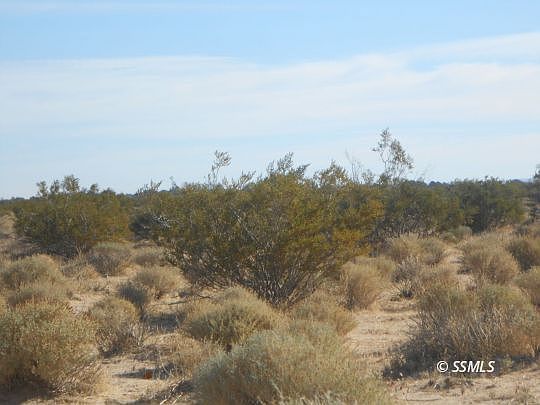 1st image of 341-160-28 Calamar So Of Bowman Rd