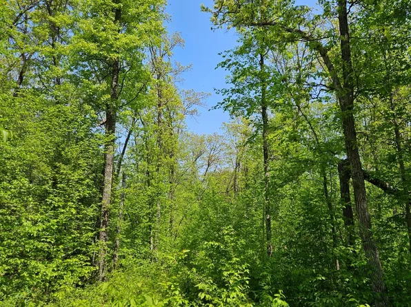 LOT Fireweed Ct #A, Crosslake, MN 56442