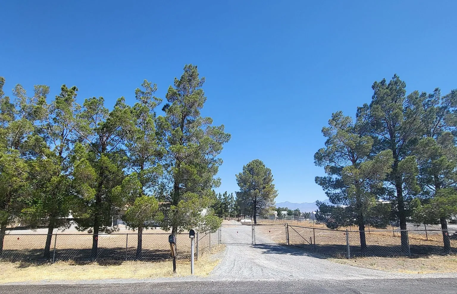 Charleston Park - Van Lane — Photo 3