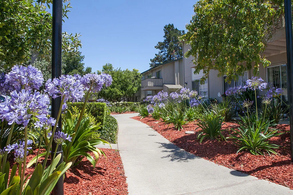 Building Photo - Campbell West Apartments