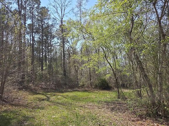 2nd image of 0 Adkins Rd #A