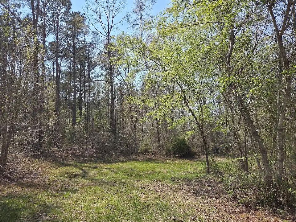 2nd image of 0 Adkins Rd #A