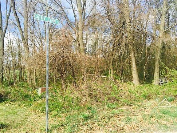 3rd image of 1567 N Cathy Lynn Dr