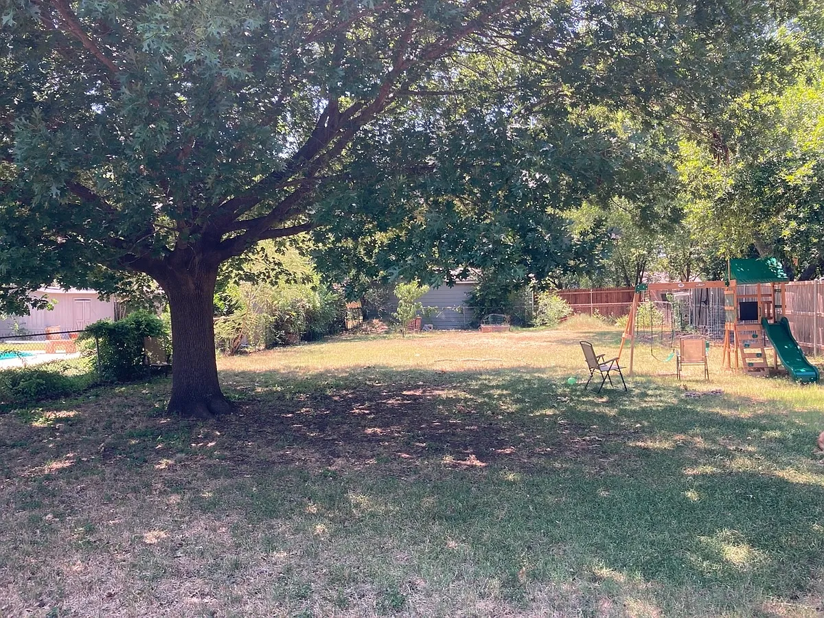 Large backyard with a beautiful oak tree providing the perfect Summer shade (play structure not included) - 3128 Tex Blvd