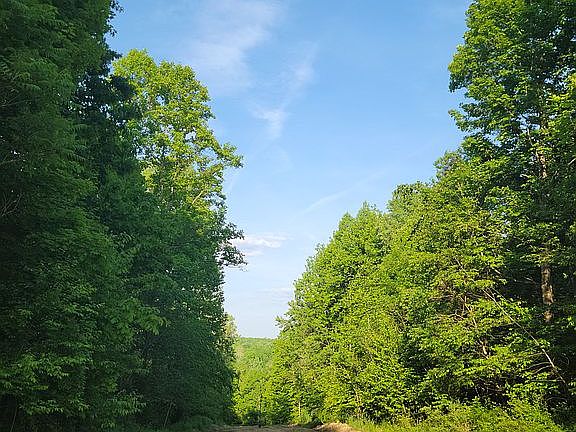 Top of hill on second road