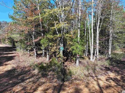 0 Smelser Dr, Murray, KY, 42071