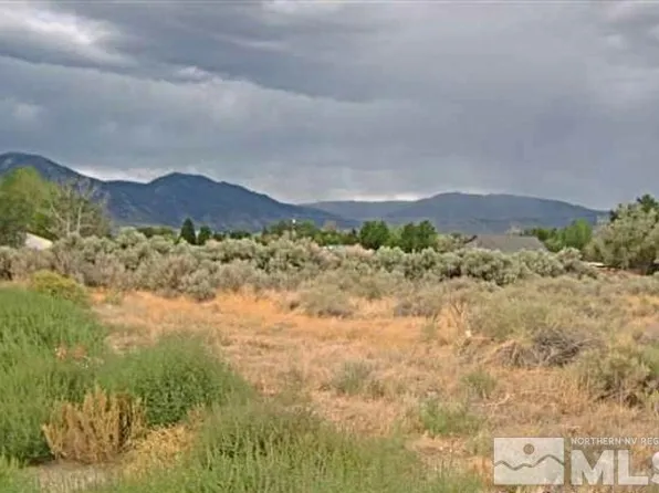 1368 Johnson Ln, Minden, NV 89423