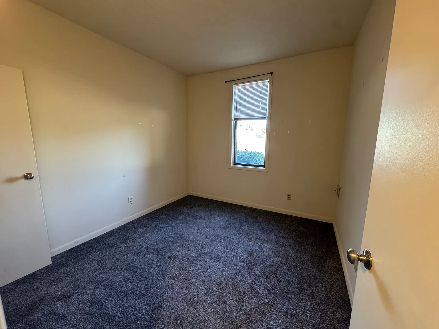 1 bed, 505 sqft, $700 — Photo 3