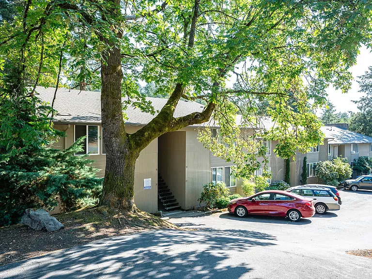 Timberlee — Photo 16