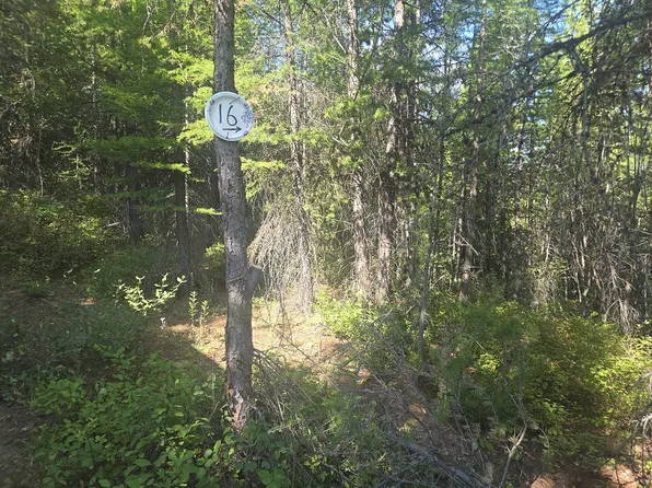 LOT 16 Nine Mile Rd, Huson, MT 59846