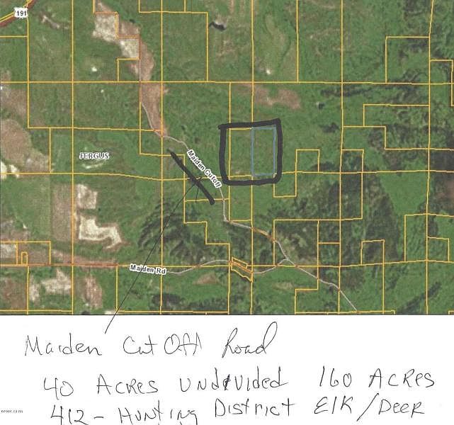 2nd image of Baldy Mountain Cutoff Rd