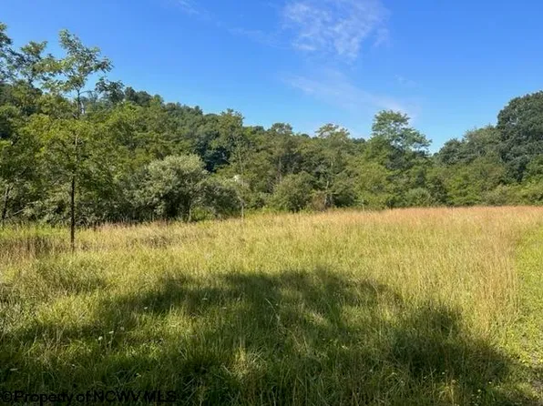 LOT 1 W View Ln, Masontown, WV 26542