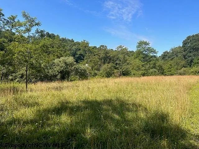 LOT 1 W View Ln photo 1