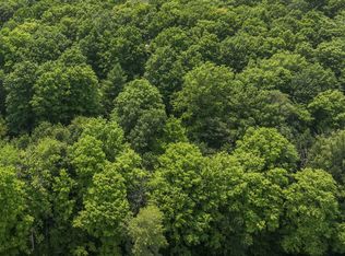 21400 Twenty Mile Rd, Tustin, MI 49688