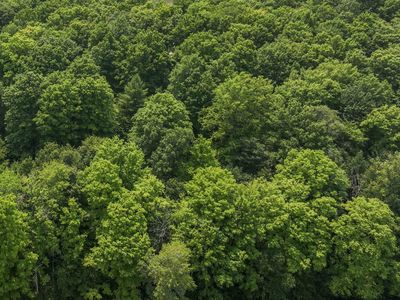 21400 Twenty Mile Rd, Tustin, MI, 49688