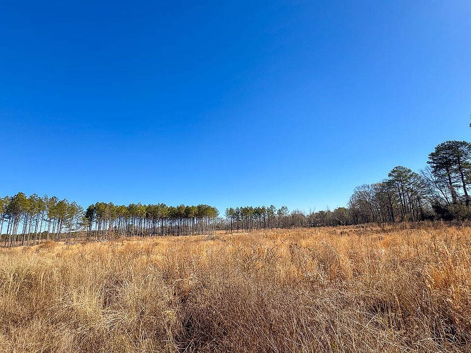 2nd image of Pitt Rd