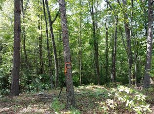 138 Eastatoe Pkwy, Sunset, SC 29685