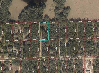 12951 NE 75th Ave, Bronson, FL 32621