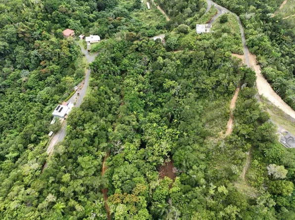 Bo Galateo, Isabela, PR 00662