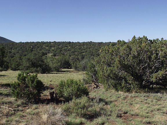 3rd image of 907 E Hualpai Trl #159