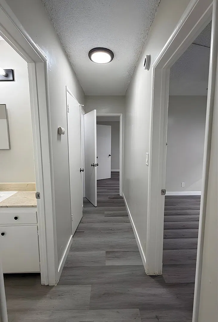 2 bed, 1.0 bath, $2,150 — Photo 4