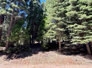 721 Pine Canyon Rd, Westwood, CA 96137