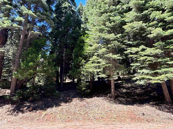 721 Pine Canyon Rd, Westwood, CA 96137