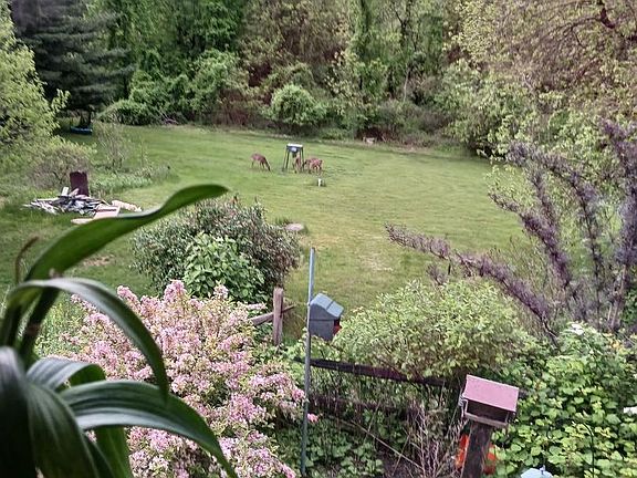 2nd image of 728 Mountain Rd