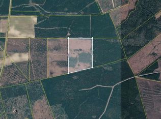 0 Tom Crib Rd, Andrews, SC 29510