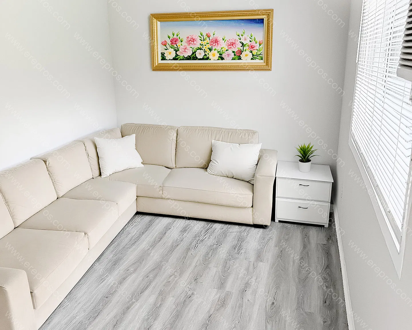 1 bed, 650 sqft, $800 — Photo 1