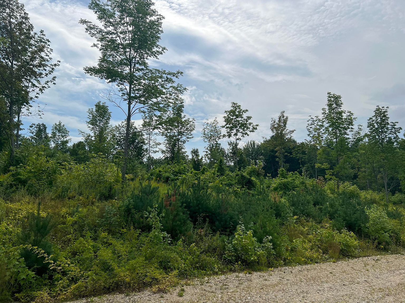 Lot 5 Fenderson Road Lot 054005, Parsonsfield, ME 04047 Zillow