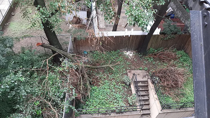 Rented by Compass | media 14