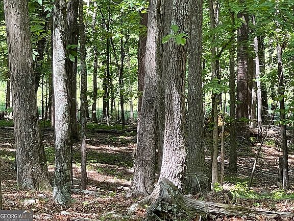 2nd image of LOT 2& #3
