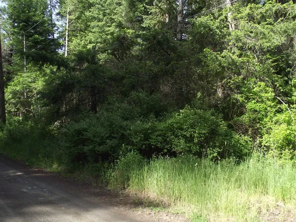 River Canyon Rd, Imnaha, OR 97842
