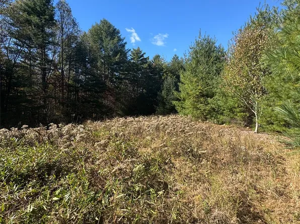 999 Stones Lake Rd, Cedar Mountain, NC 28718