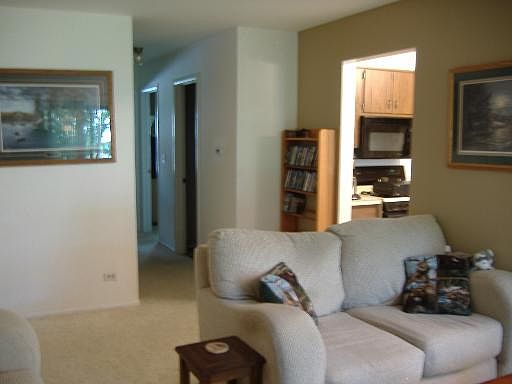3rd image of 225 Deerpath Ct Unit C1
