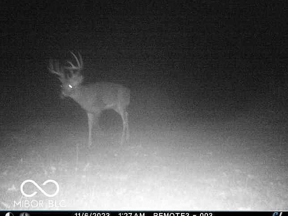 2nd image of 4000 N County Road 650 W