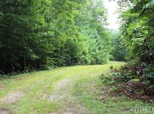 C C Tract Waddle Branch Rd, Sapphire, NC 28774