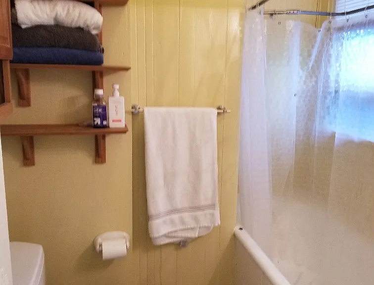 Bathroom with tub and shower