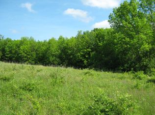 0 Pleasant Valley Rd, Alfred Station, NY 14803