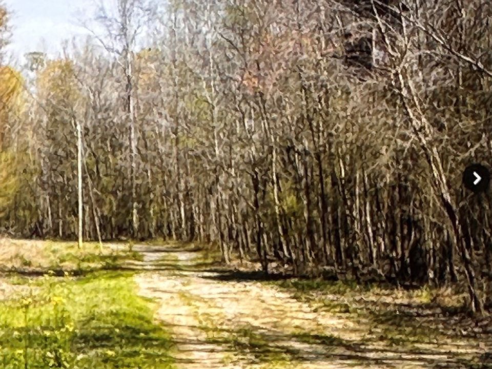 2nd image of 510 E Lynches River Rd