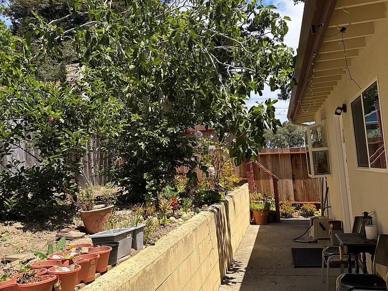 Backyard in 2026.