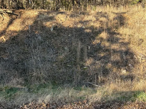 0 Old Highway 96 S Lot 2, Burns, TN 37029