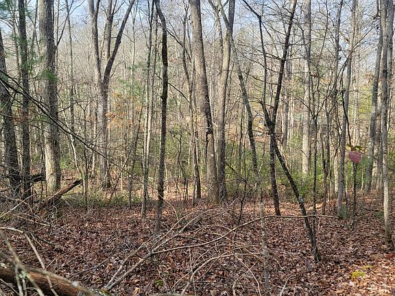 2nd image of 0 Rocky Point Lot 3