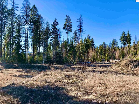 3rd image of 142 Wood Duck Ln