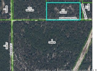 Maryland Ave, Weeki wachee, FL 34613