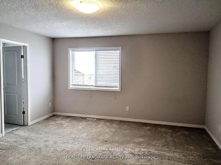 561 Mayapple St — Photo 11