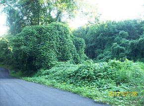 1st image of Tbd Chinquapin Ln