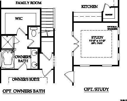 First Floor Options