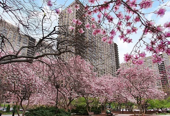 Sold by Corcoran | media 6